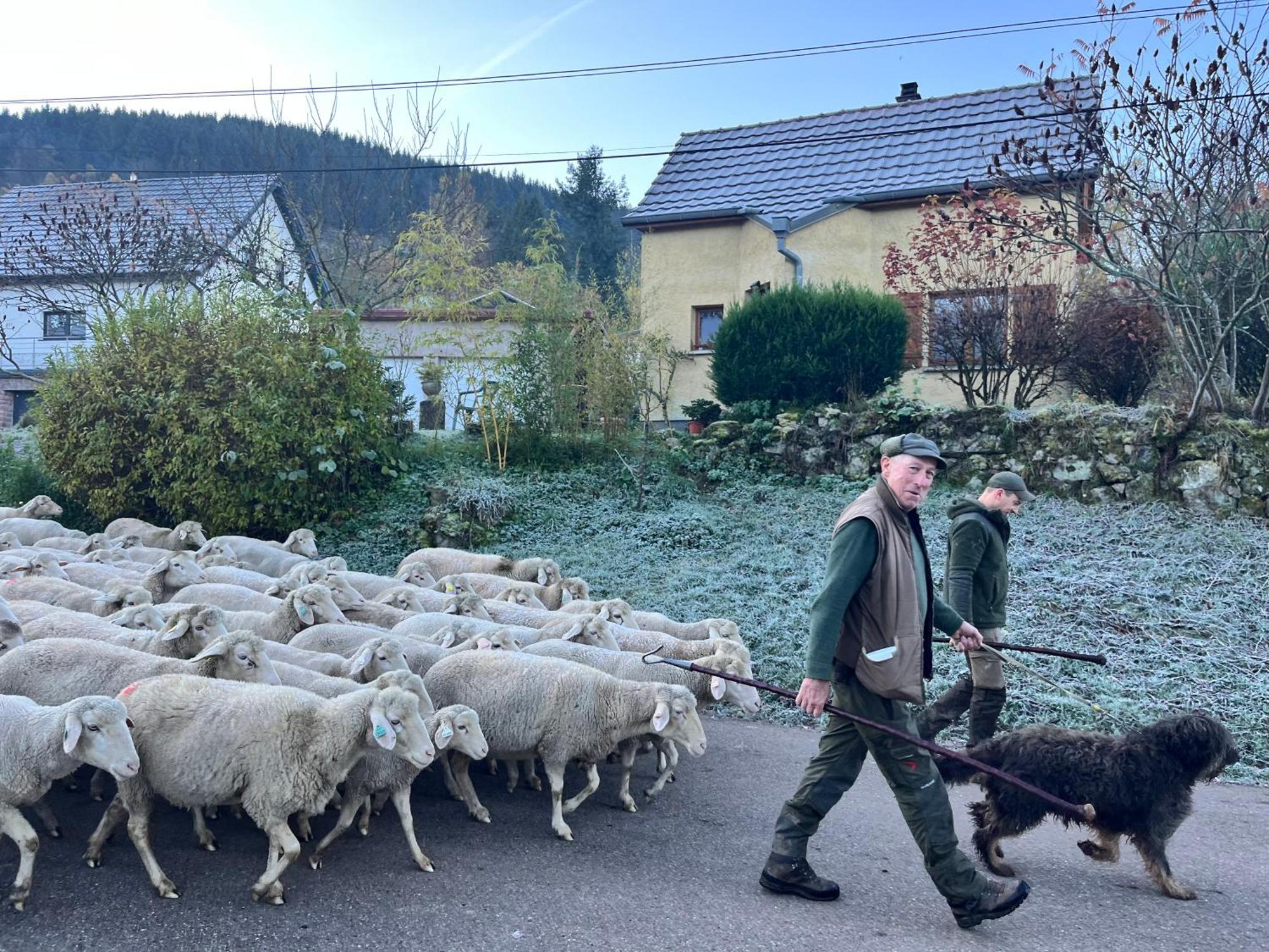 Gite De Montagne -Bellefosse Alsace Exterior foto